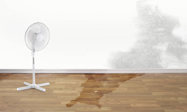 Best Fire Damage Restoration  in England, AR