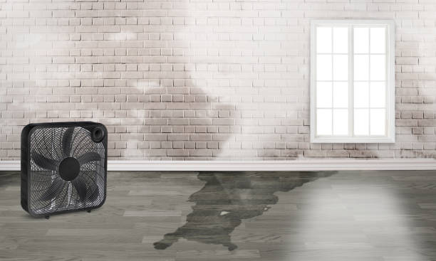 Best Residential water damage restoration  in England, AR