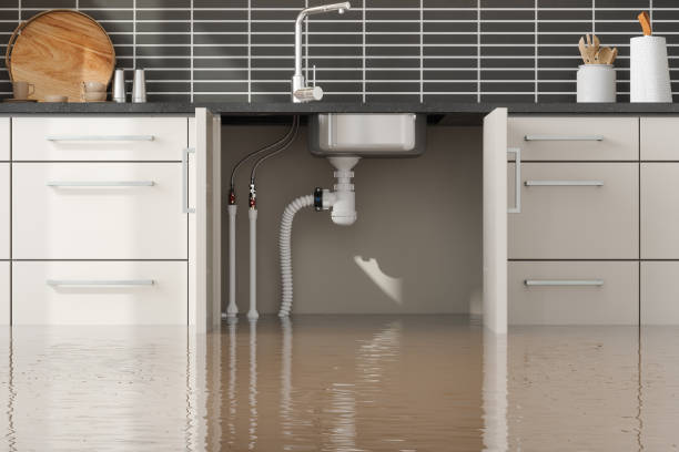 Best Water damage cleanup near me  in England, AR