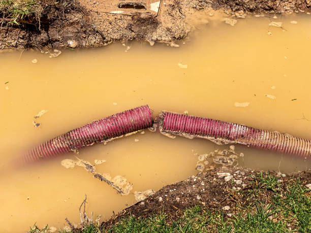 Best 24/7 water damage repair  in England, AR
