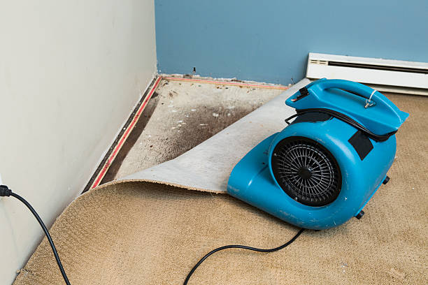 Best Fire Damage Restoration  in England, AR